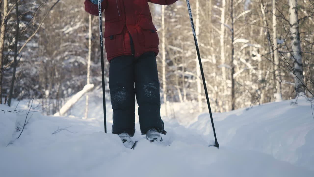 persona esquiando en un bosque nevado