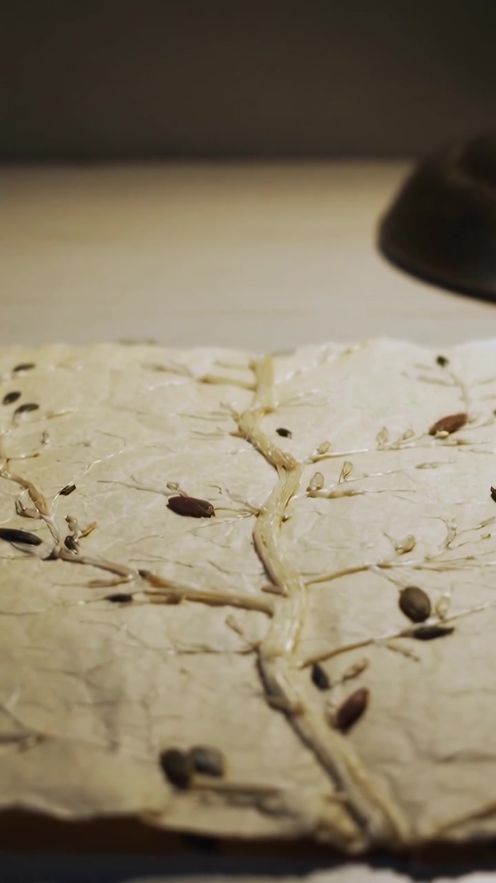 Vertical video: Camera steadying dough revealing score and detail at counter with seeds and lamp