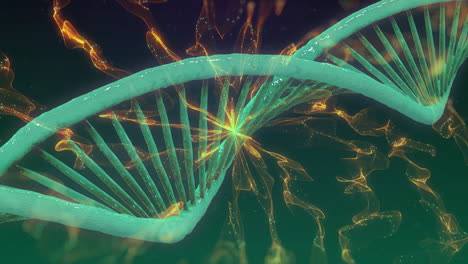 animation of dna strand spinning over glowing light trails on green background