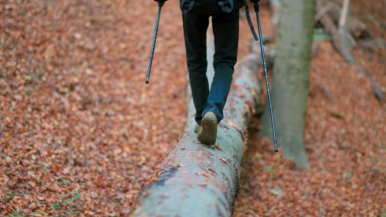 Wanderer balanciert auf einem umgestürzten Baumstamm in einem Herbstwald