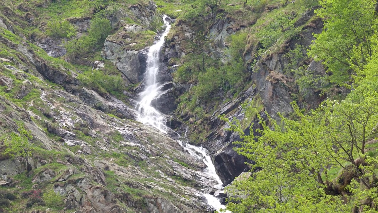 Un ruscello di montagna scorre su rocce scoscese circondato da alberi verdi nelle Alpi italiane.
