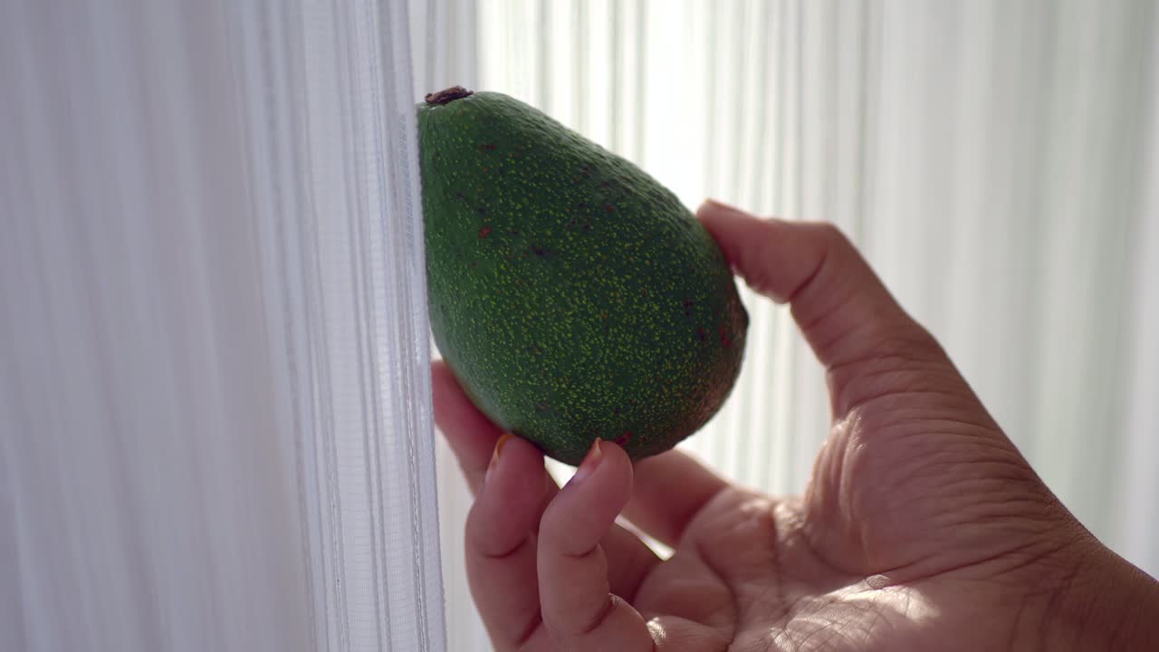 창문 근처 에 아보카도 를 들고 있는 사람