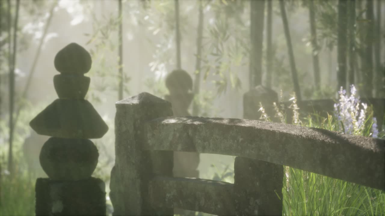 일본 대나무 숲 과 녹색 초원 잔디 와 자연 빛