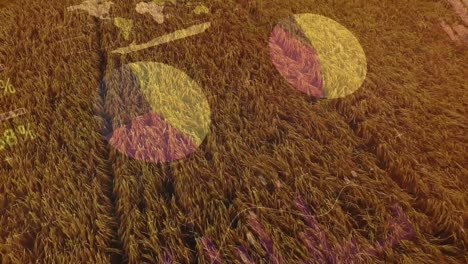 animación del procesamiento de datos financieros en el ámbito de la agricultura