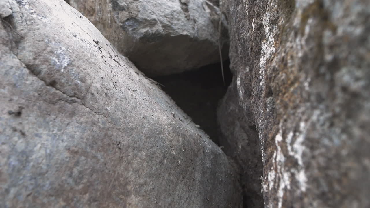 암석 케이지, 갇힌, 절망, 위험 개념