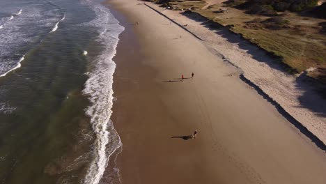 mujer caminando en playa grande con perro, punta del diablo en uruguay