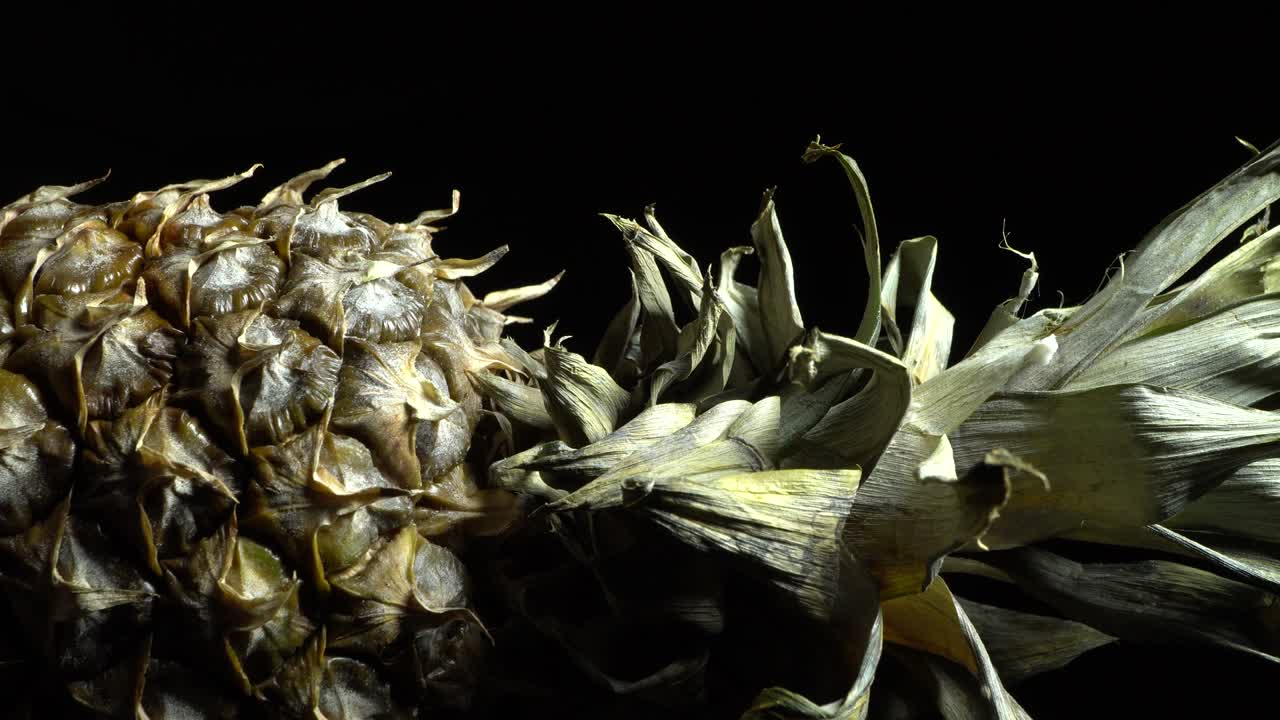 회전하는 파인애플