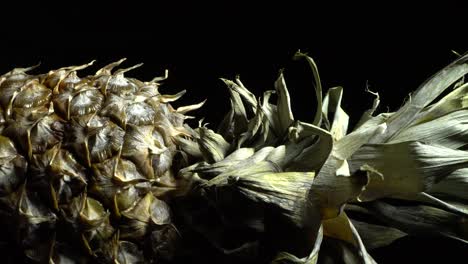 piña en rotación