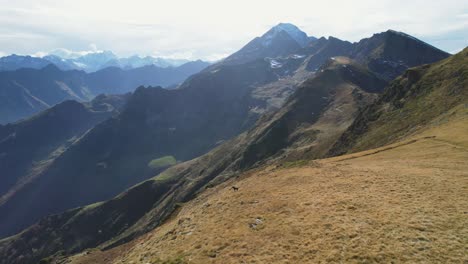 hiking pyrenees with dog, beautiful mountains, adventure awaits