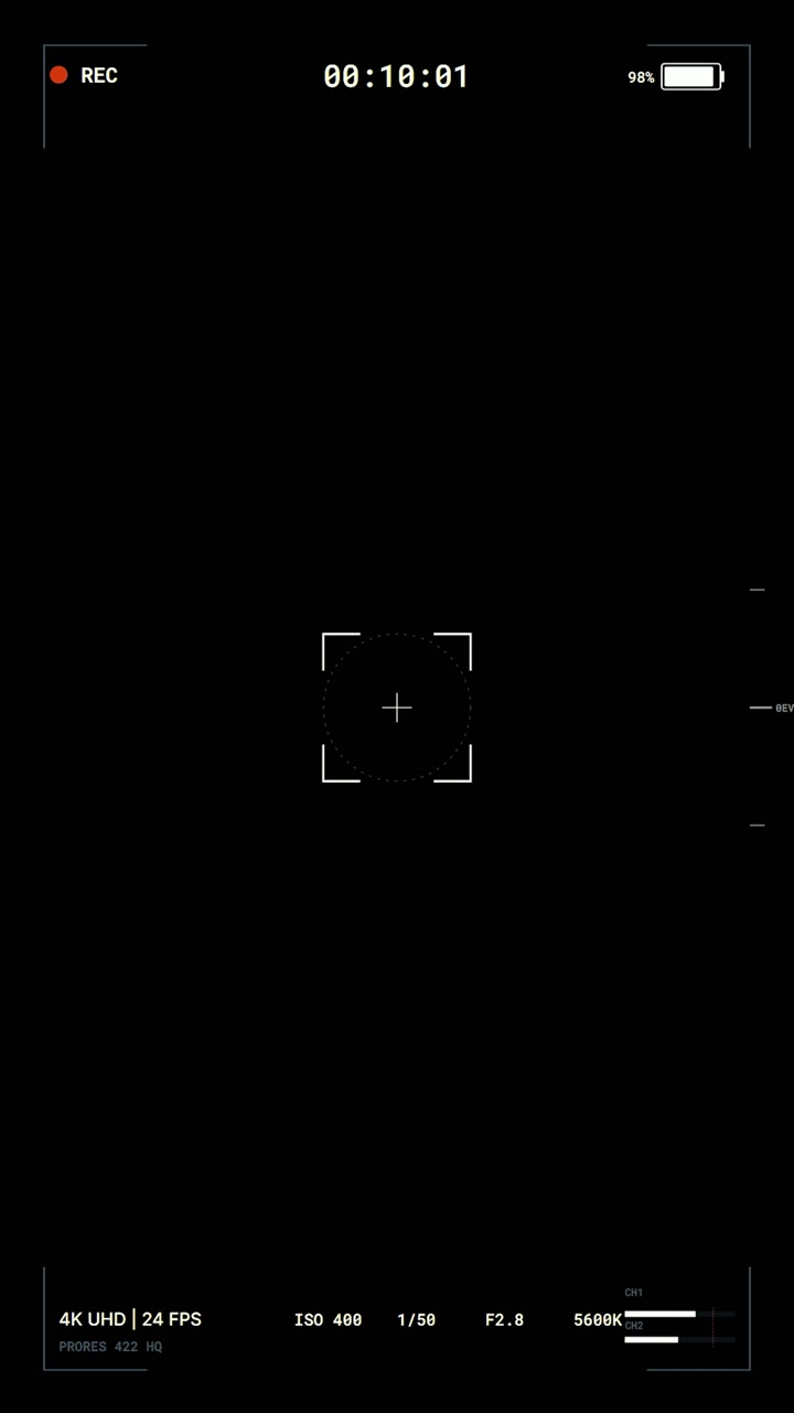Digital Camera Recording Interface Overlay