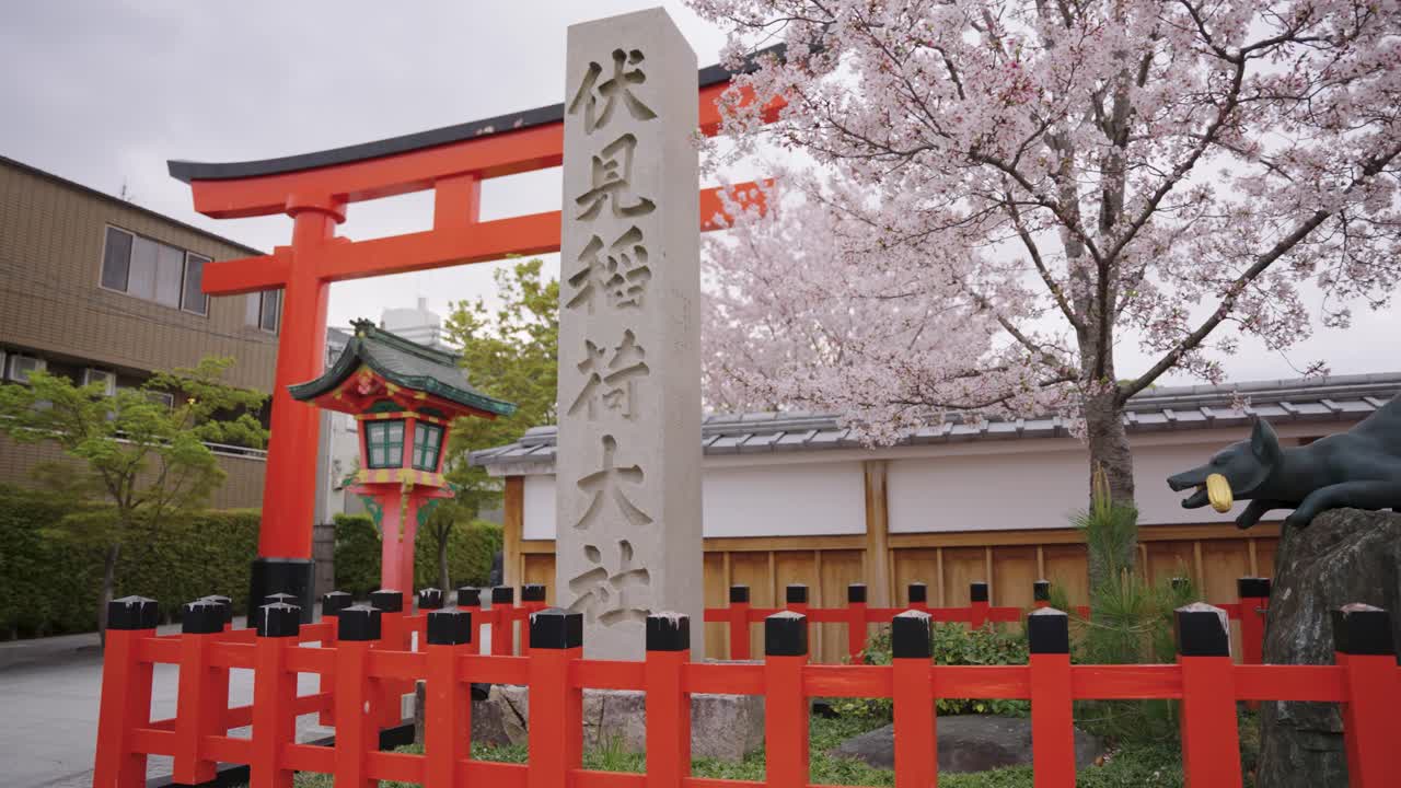 flor de sakura sobre la puerta de entrada fushimi inari, kyoto japón