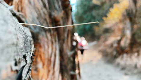 Blurry-background-of-hikers-hiking-in-the-forest-during-an-outdoor-expedition-in-the-nature