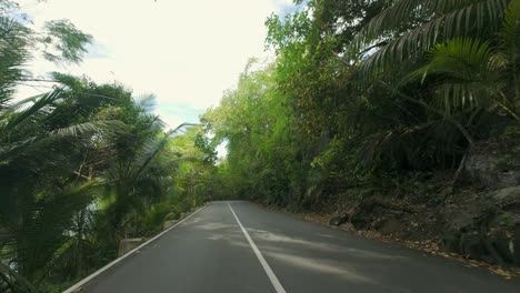 driving on amazing road between forest and lush vegetation, rocks and trees on both road sides, mahe seychelles 6