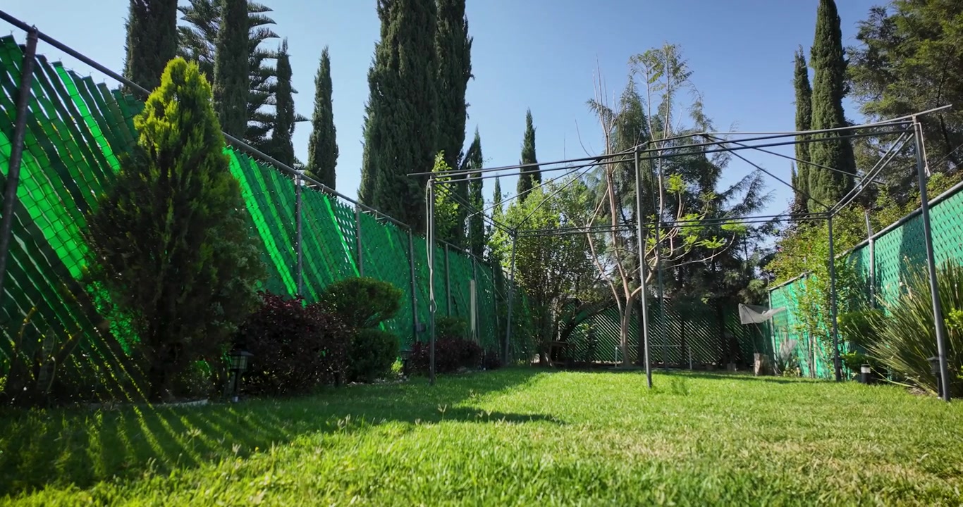 Panoramisk solopgangs-hyperlapse fra en have i Mexico City, filmet fra en lav vinkel, der viser græs, træer, dyr, himlens bevægelse og skiftende morgenlys.