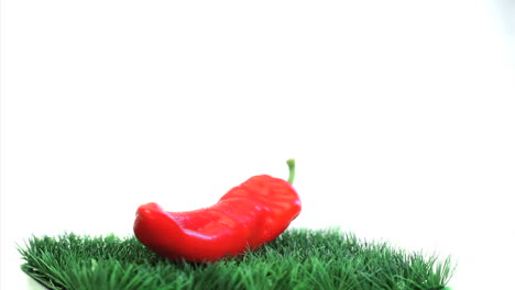 Wet-red-pepper-rotating-