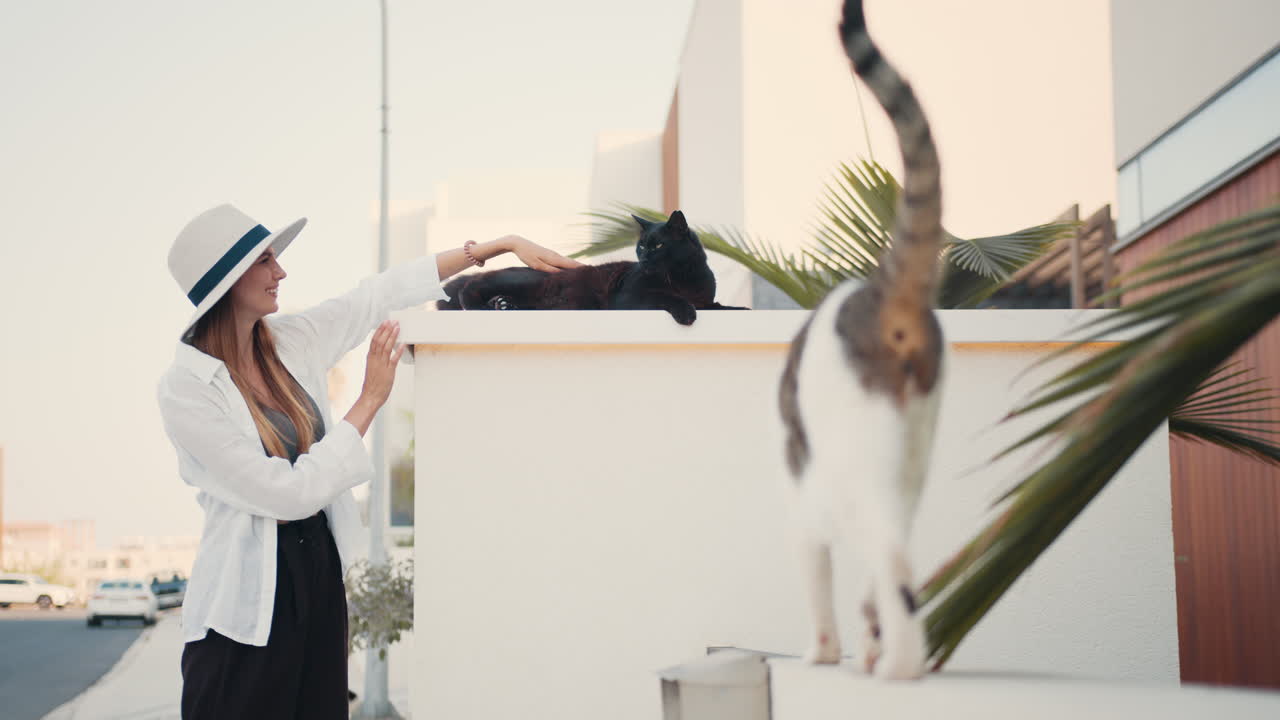 mujer interactuando con gatos al aire libre cerca de una casa