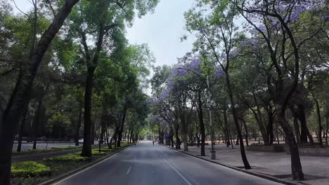 slow motion shot of bicycle in the middle of reforma avenue