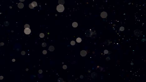 elegante, detallado y delicioso bokeh y partículas visuales con poca profundidad de campo bajo el agua