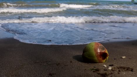 a coconut fruit with a big waves in the background