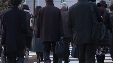 slowmotion - people walking on crosswalk ( tokyo station at winter )