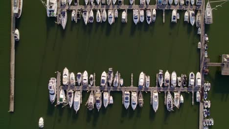 Zenith-flight-over-the-marina-at-sunset