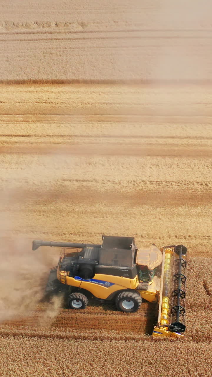 Aerial shot of combine harvesting agriculture. Farming combine concept. Vertical video