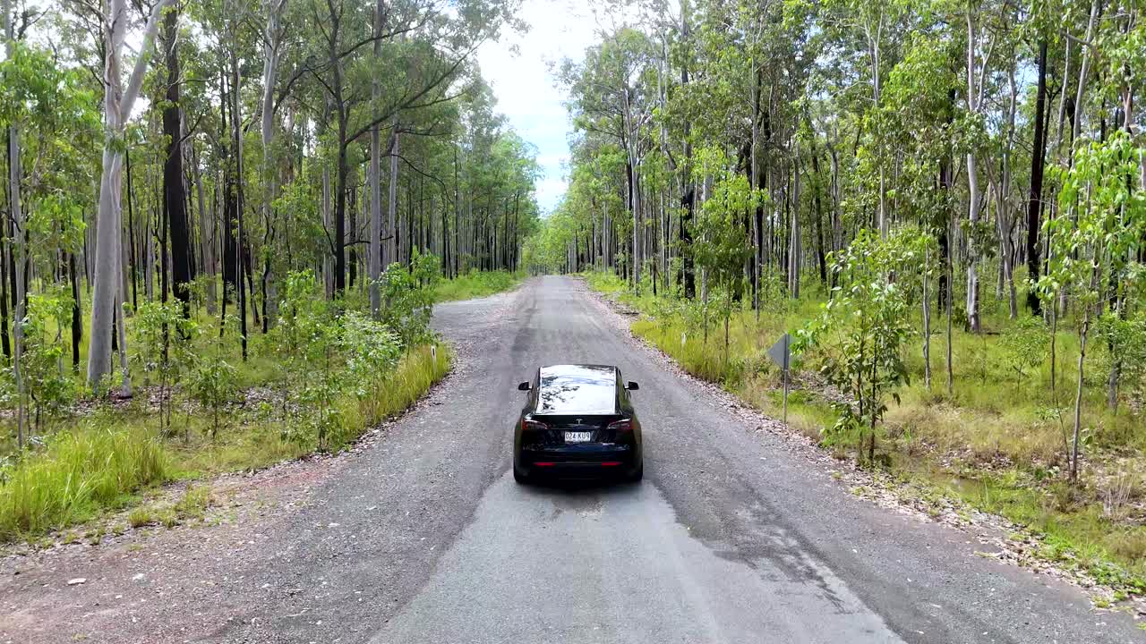 A black car travels down a winding dirt road through a lush, green forest under natural daylight. Smooth forward camera movement captures the tranquil rural landscape
