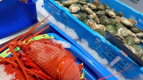 lobsters, crabs, and oysters on display