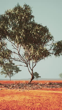 árbol solitario en el interior