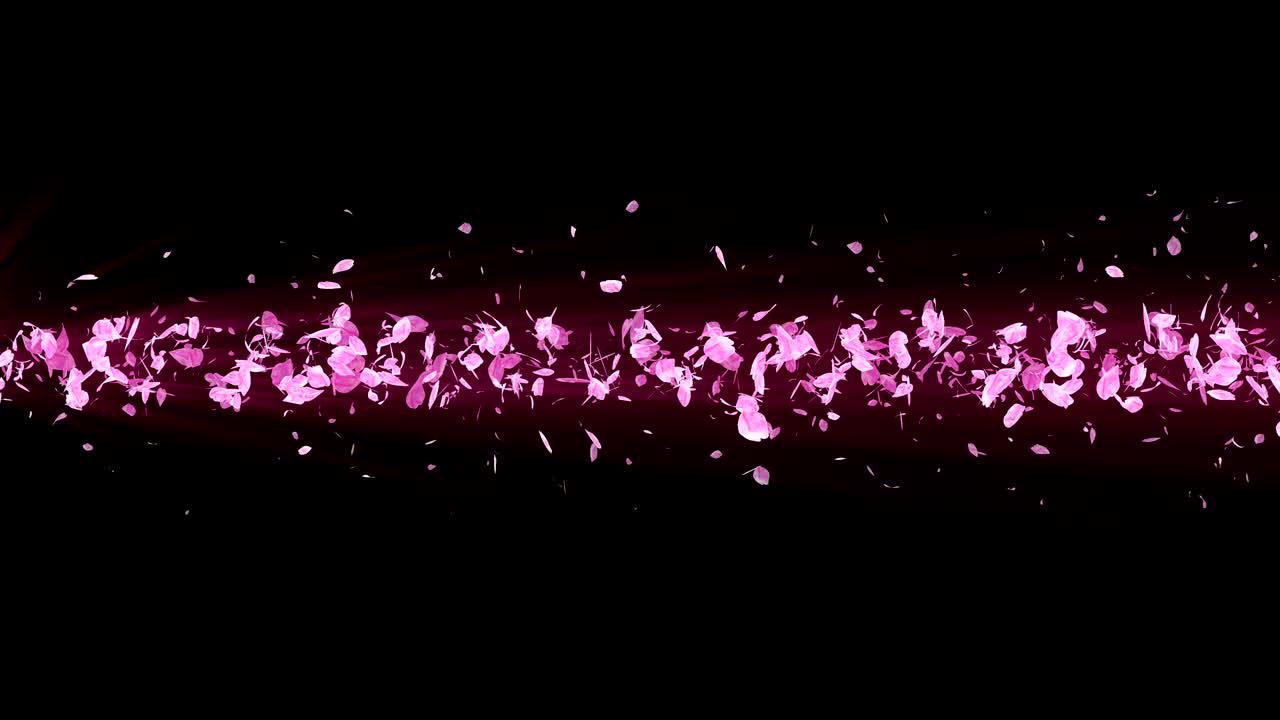 꽃의 나선형 반이는 입자, 사쿠라 패턴, 일본의 꽃 춤, 분홍색 꽃잎의 소용돌이, 추상적인 루프 애니메이션.