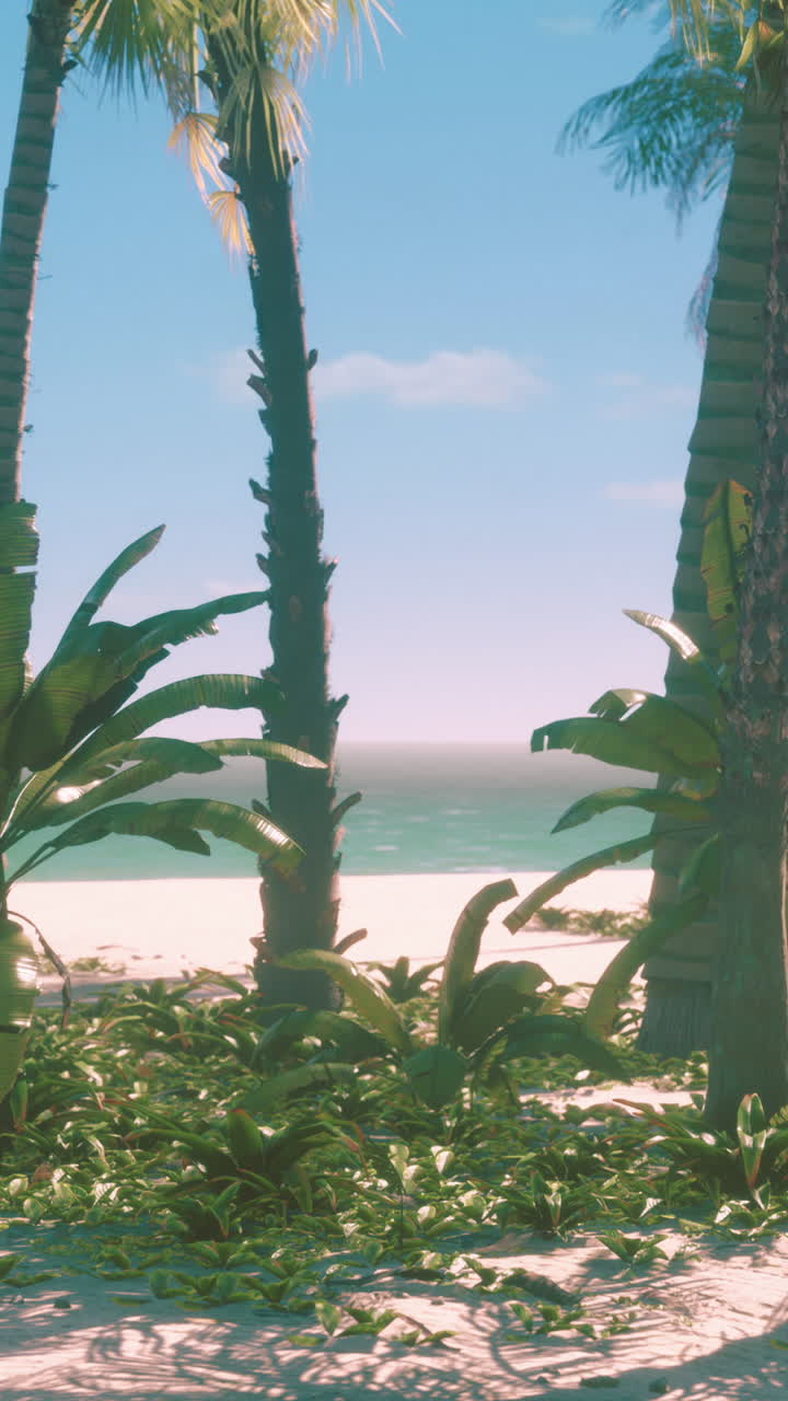 Tropical Beach with Palm Trees