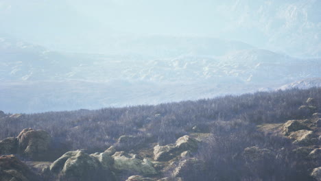 misty mountain landscape