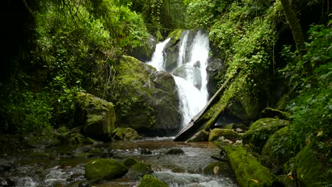 Cascada-Asombrosamente-Hermosa-En-Costa-Rica-Rodeada-De-Un-Exuberante-Bosque-Verde-Y-Vegetación,-Con-Agua-Que-Corre-Desde-La-Cascada-Hasta-Un-Arroyo-Ancho-Y-Bajo