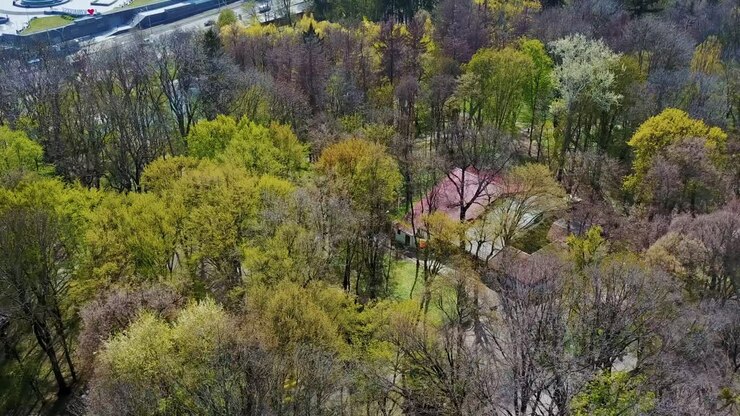 Large public park. Aerial skyline view of public park