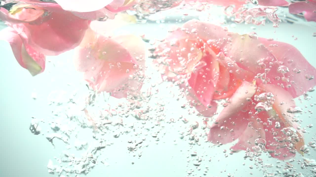 Petali di rose cadono nell'acqua. Sfondo. Movimento rallentato.