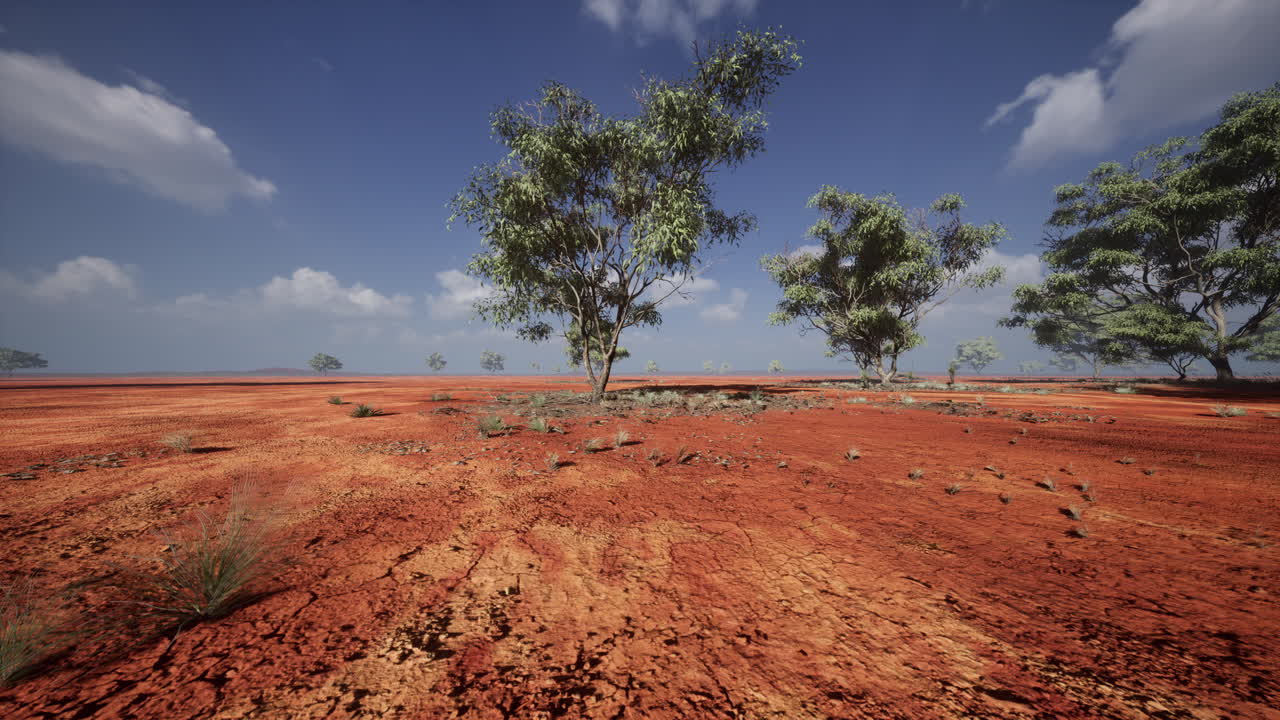 grandes árboles de acacia en las llanuras abiertas de la sabana de namibia