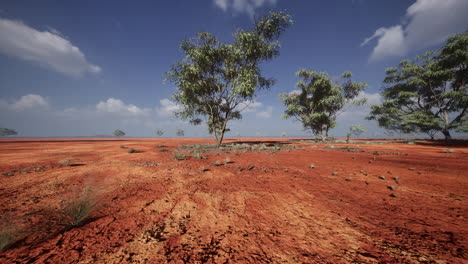 Große-Akazienbäume-In-Den-Offenen-Savannenebenen-Namibias