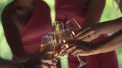 a group of women hold their champagne glasses in a toast during a wedding