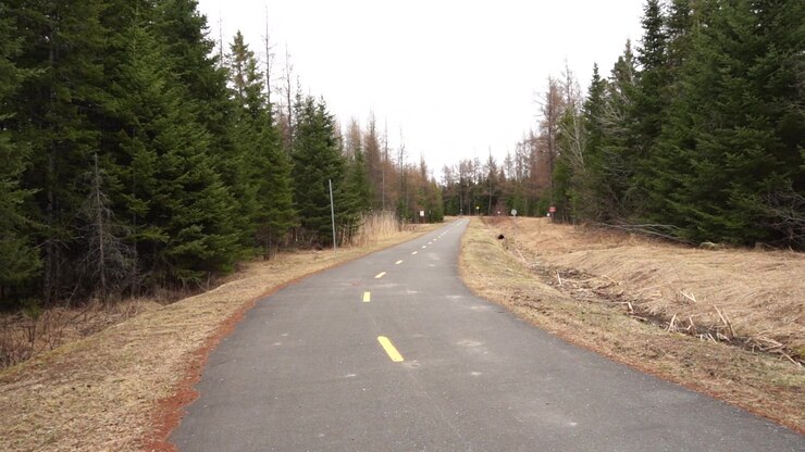 Una panoramica pista ciclabile ricreativa pavimentata che si snoda attraverso una foresta di conifere e praterie aperte, ripresa in una giornata primaverile nuvolosa