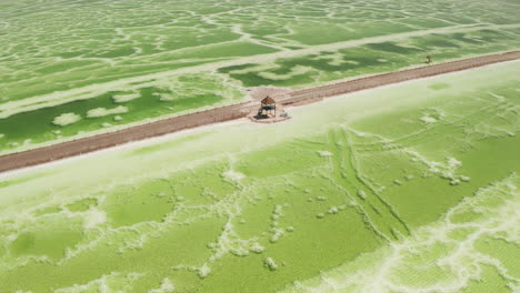 the green saline lake and beach pavilion, natural lake background.