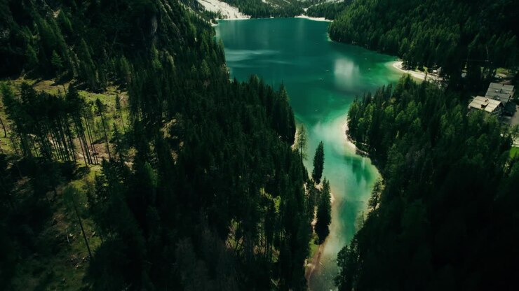 Stunning Alpine Lake with Lush Forest and Majestic Mountains