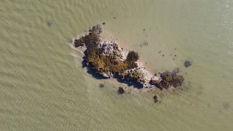 Una-Vista-De-Arriba-Hacia-Abajo-De-Las-Aves-Que-Se-Congregan-En-Una-Pequeña-Isla-En-El-Río-Medway-En-Una-Tarde-Soleada