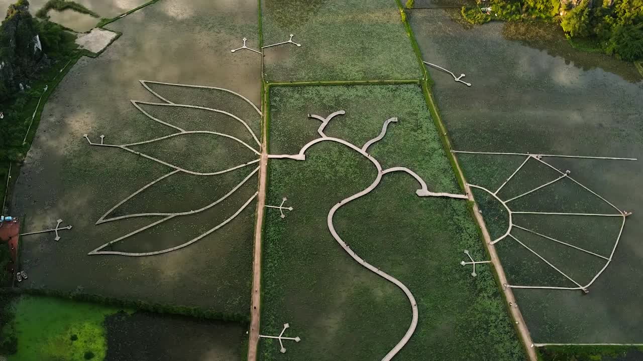 Wooden boardwalk shaped like giant lotus flower winds across green flooded field seen from above, in Ninh Binh