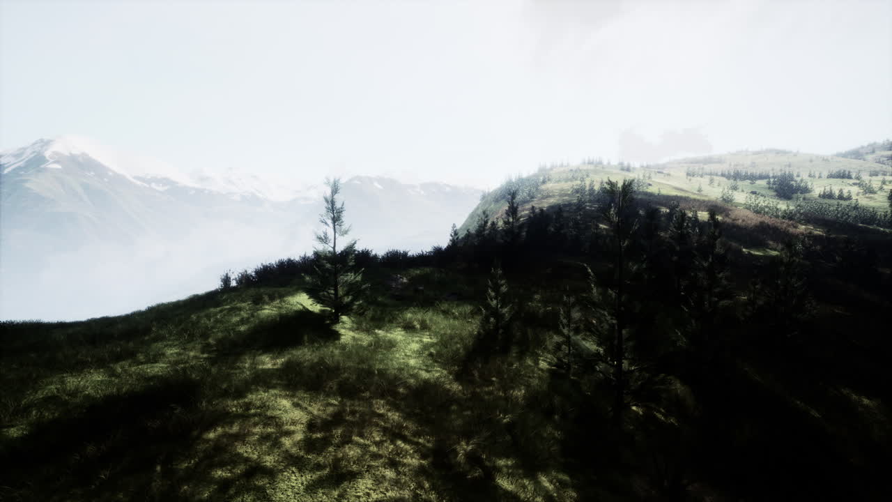 impresionante vista de las montañas y el bosque