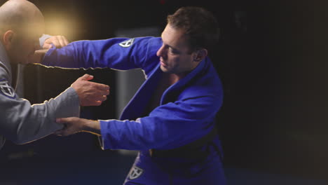 martial arts grappling