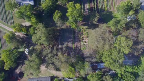 AERIAL:-Birds-eye-view-rise-up-of-a-small-field-on-a-working-farm-in-Austin,-Texas