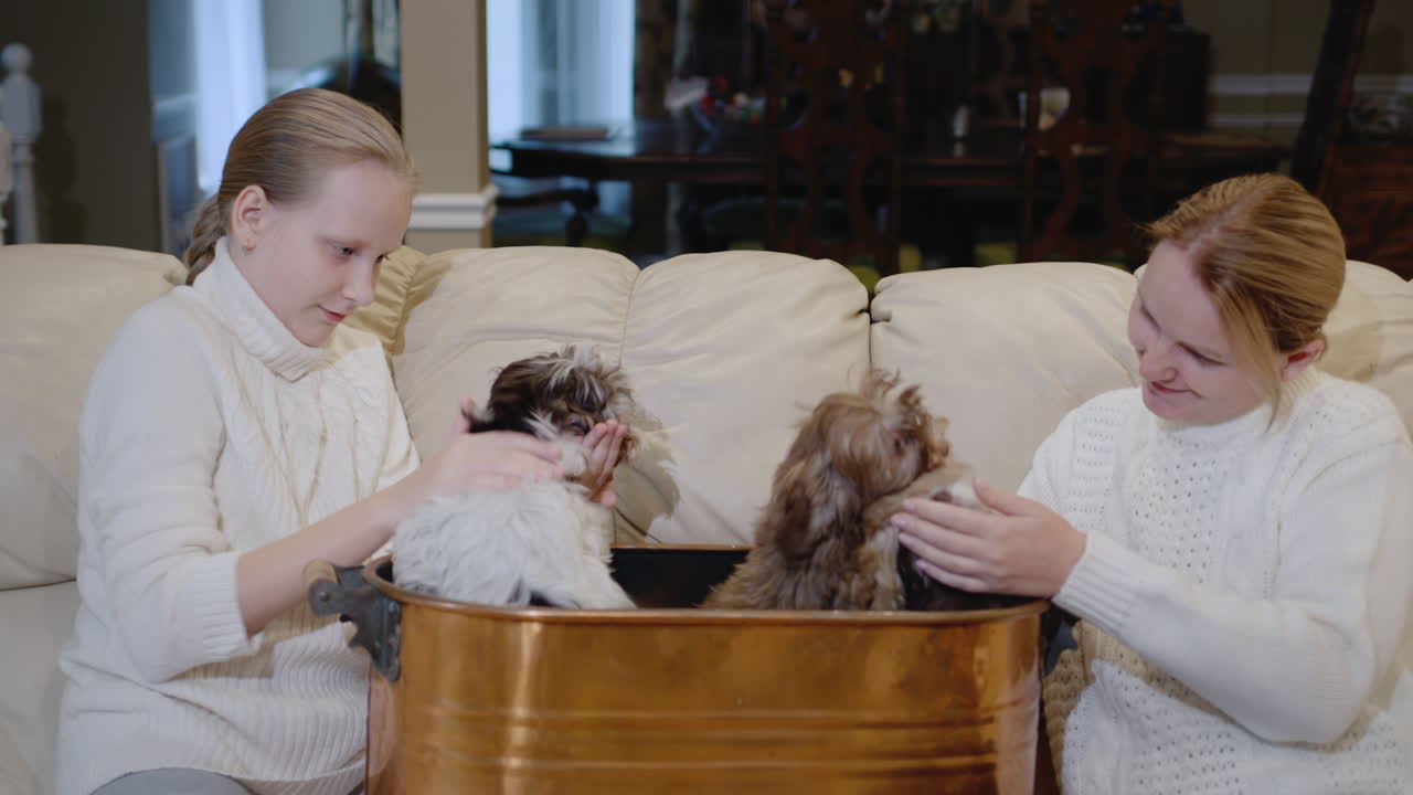 소녀와 어머니는 귀여운 강아지들과 함께 놀고, 함께 즐거운 시간을 보내십시오.