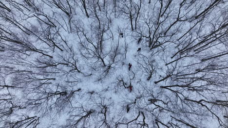 Aerial-view-of-cyclists-on-fat-bikes-in-a-forest-trail