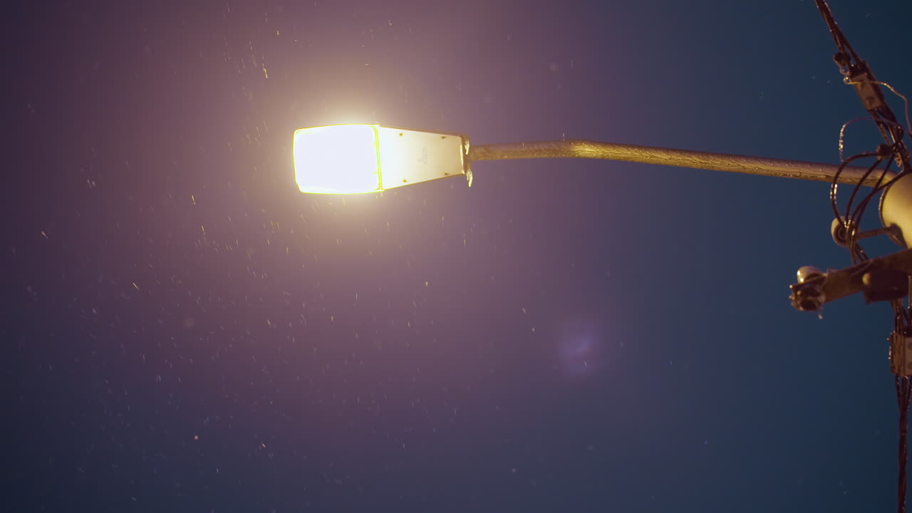 골든 스트리트 라이트는 진한 파란색 저녁 하늘을 배경으로 부드럽게 떨어지는 눈알에 따뜻한 빛을 내며 평온한 겨울 밤의 분위기를 만니다.