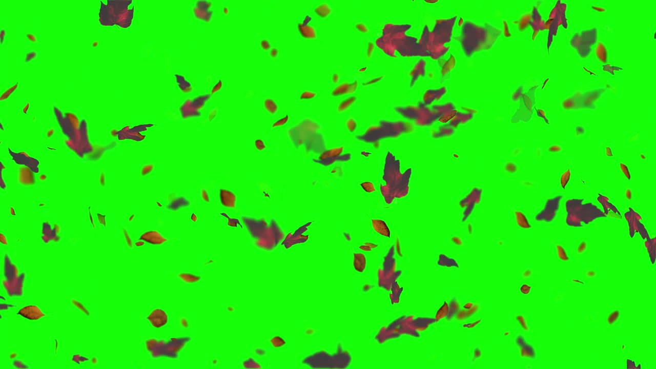 떨어지는 잎의 애니메이션 루프 가을